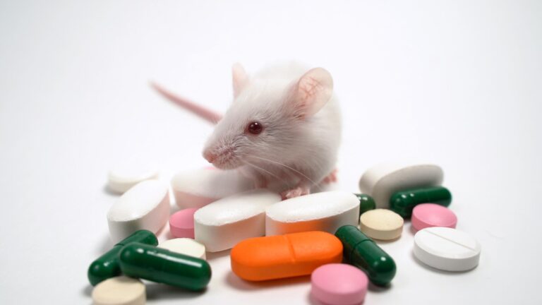 Image shows a mice with medicines around it